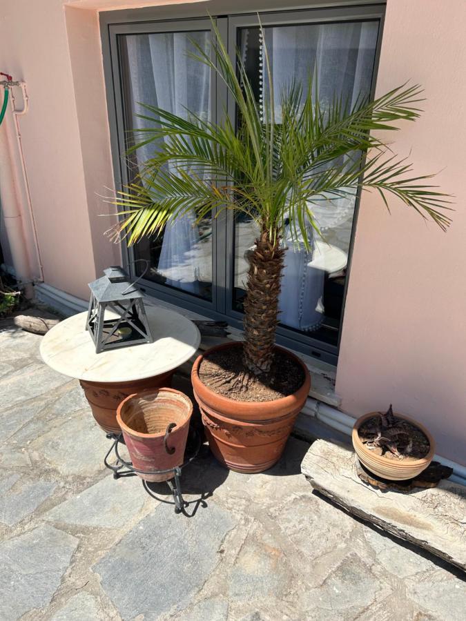 Paola'S Apartments Near Athens Airport Spáta المظهر الخارجي الصورة